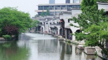 解救金刚鹦鹉